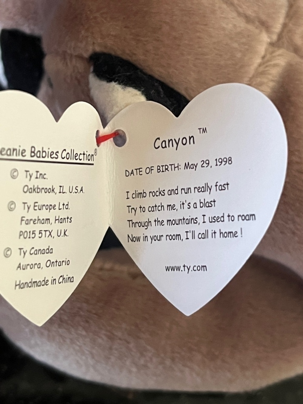 1998 Ty Beanie Baby Canyon May 29,1998 - Picture 5 of 5